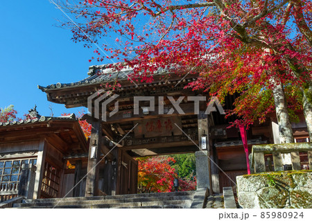 静岡県伊豆市修善寺 紅葉の修禅寺 静岡県伊豆市修善寺 紅葉の修禅寺 85980924