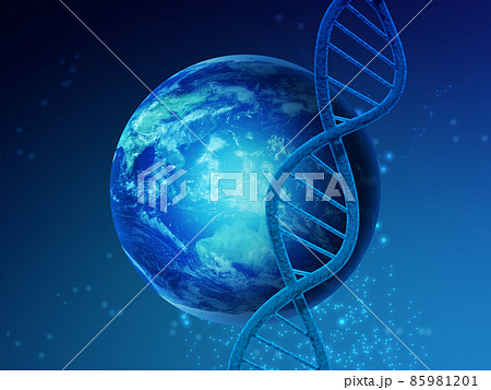 遺伝子（DNA） 85981201