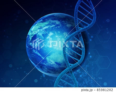 遺伝子（DNA） 85981202