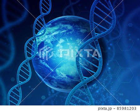 遺伝子（DNA） 85981203