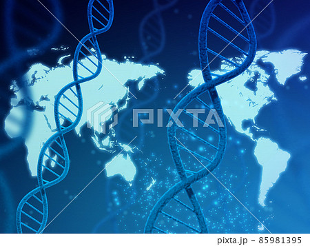遺伝子（DNA） 85981395