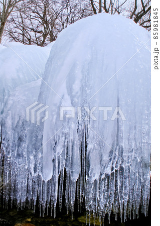 猪苗代湖の名物しぶき氷とツララ 85981845