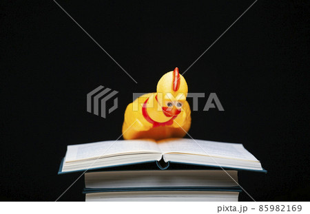 image of book rubber chicken dark background image of book rubber chicken dark background 85982169