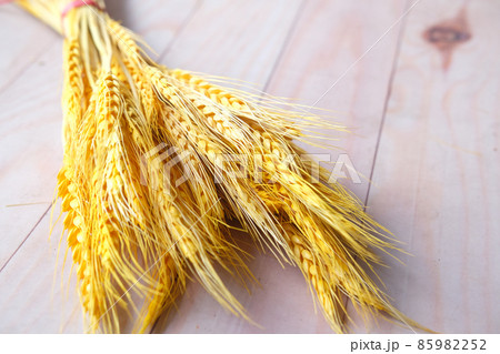 detail shot of wheat spikelets on table  85982252