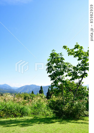 越後ハーブ香園入広瀬より守門岳を望む（新潟県） 85982939
