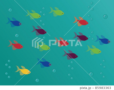 Different colours tetra glofish school vector illustration 85983363