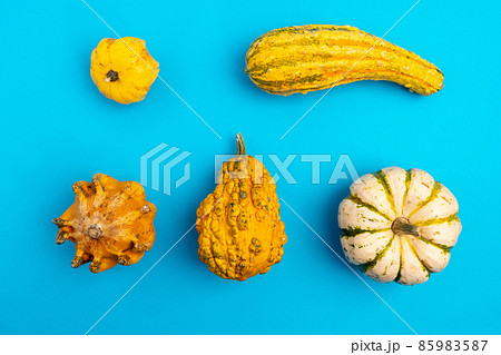 Ugly pumpkin vegetables on a blue background. Top view 85983587