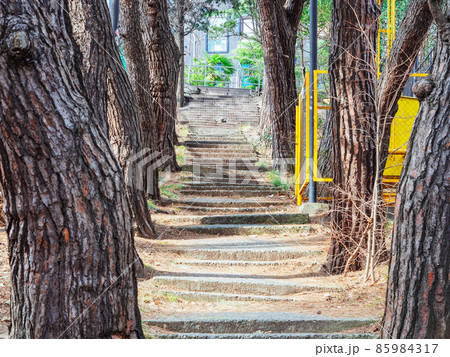 A walkway of concrete steps with thick tree trunks leads to the building 85984317