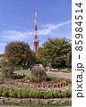 爽やかな晴天の芝公園と東京タワー　東京都港区 85984514