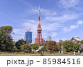 爽やかな晴天の芝公園と東京タワー　東京都港区 85984516