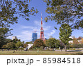 爽やかな晴天の芝公園と東京タワー　東京都港区 85984518