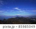 1月　伊豆の国85富士山と沼津(駿河湾)･伊豆パノラマパーク 85985049