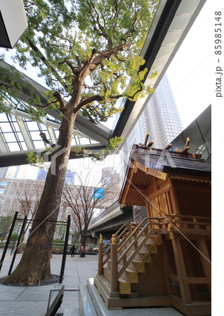 新宿高層ビル街の出雲大社 恋弁天 縁結びの神様 新宿高層ビル街の出雲大社 恋弁天 縁結びの神様 85985148