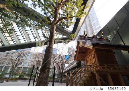 新宿高層ビル街の出雲大社 恋弁天 縁結びの神様 新宿高層ビル街の出雲大社 恋弁天 縁結びの神様 85985149
