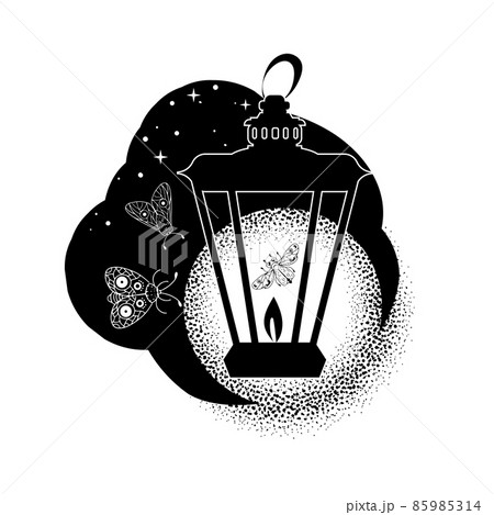 Lantern light and night moths Lantern light and night moths 85985314