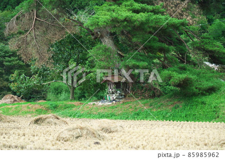 稲田家のあかまつの根元の祠9　岡山県真庭郡新庄村 85985962