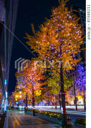 大阪 光の饗宴 御堂筋ライトアップ 大阪府大阪市 大阪 光の饗宴 御堂筋ライトアップ 大阪府大阪市 85986251