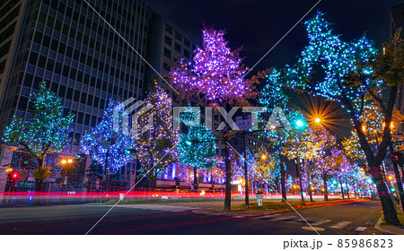 御堂筋ライトアップ 大阪府大阪市 伏見町付近 御堂筋ライトアップ 大阪府大阪市 伏見町付近 85986823
