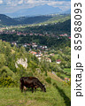 Brown cow eating grass. Mountains and village in the background. 85988093