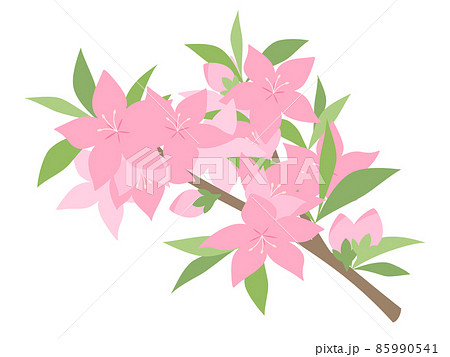 桃の花のイラスト_枝 85990541