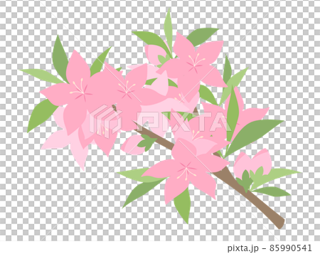 桃の花のイラスト_枝 85990541