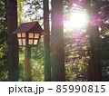 夕暮れ時 85990815