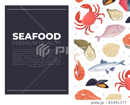 Seafood card template. Restaurant or fishery product market advertising, flyer, banner design vector illustration Seafood card template. Restaurant or fishery product market advertising, flyer, banner design vector illustration 85991577