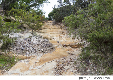 Photograph of a dirt walking track affected by severe rain and flooding Photograph of a dirt walking track affected by severe rain and flooding 85991790