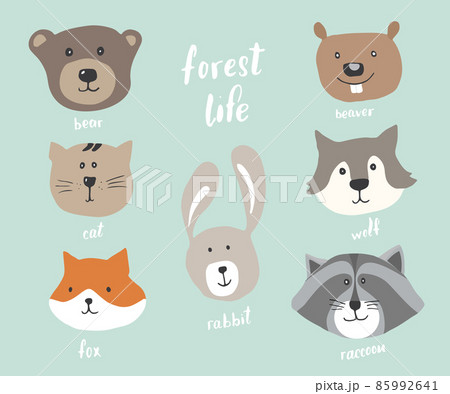 Cute Animal heads. Cartoon forest wildlife animals collection, fox, wolf, bear, beaver, raccoon, rabbit and wild cat. Vector illustration 85992641