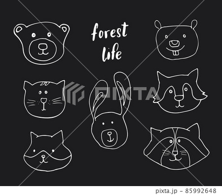 Cute Animal heads. Cartoon forest wildlife animals collection, fox, wolf, bear, beaver, raccoon, rabbit and wild cat. Vector illustration Cute Animal heads. Cartoon forest wildlife animals collection, fox, wolf, bear, beaver, raccoon, rabbit and wild cat. Vector illustration 85992648