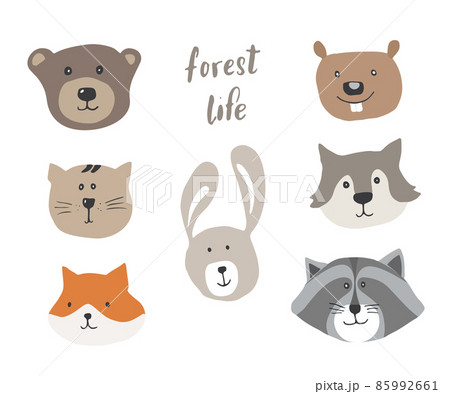 Cute Animal heads. Cartoon forest wildlife animals collection, fox, wolf, bear, beaver, raccoon, rabbit and wild cat. Vector illustration 85992661
