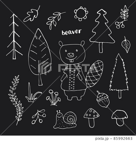 Cute Beaver in forest. Cartoon Animal in Woodland with trees and plants. Vector illustration 85992663