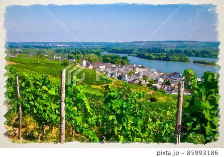 Watercolor drawing of Vineyards green fields landscape with rows of grape trellis and grapevine wooden pole on river Rhine Valley 85993186