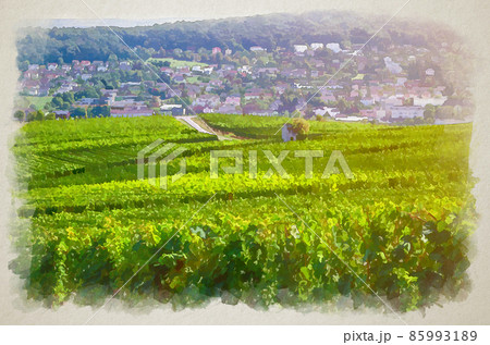Watercolor drawing of Vineyards green fields landscape with grapevine rows on hills in Rhine Gorge river Rhine Valley, Rheingau wine region Watercolor drawing of Vineyards green fields landscape with grapevine rows on hills in Rhine Gorge river Rhine Valley, Rheingau wine region 85993189