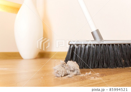 Broom 85994521
