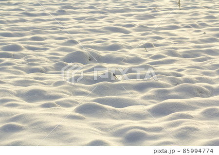 White surface of clear bright uneven deep snow in empty field, rural landscape on sunny winter frosty cold day. Shiny clean seasonal background, wallpaper theme. 85994774