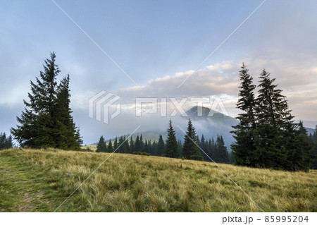 Mountain landscape in nice sunny weather. View from green grassy valley of high mountain covered with white foggy clouds. Beauty of nature, tourism, traveling and environment preservation concept. 85995204