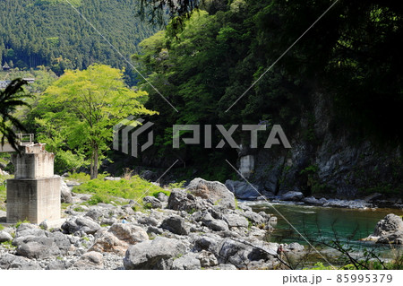 新緑の御岳渓谷　御岳小橋付近にて 85995379