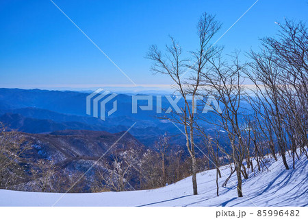 冬の群馬県赤城公園 駒ヶ岳登山中に南東側(筑波山方面)を見る 冬の群馬県赤城公園 駒ヶ岳登山中に南東側(筑波山方面)を見る 85996482