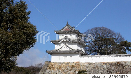 青い空と冬枯れの落葉樹に囲まれた明石城 青い空と冬枯れの落葉樹に囲まれた明石城 85996639