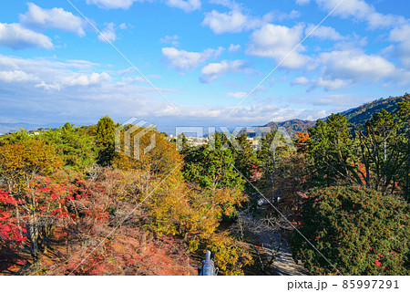 晩秋の南禅寺　三門楼上からの展望 85997291