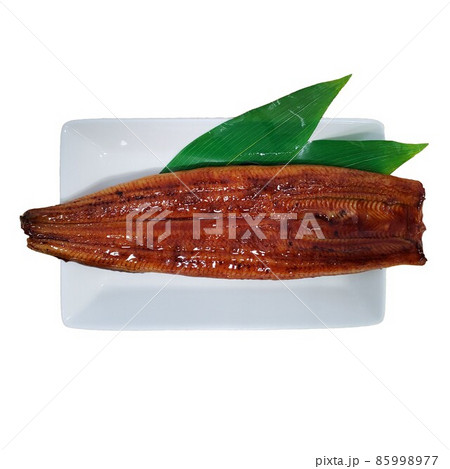 魚 魚類 サカナ 85998977