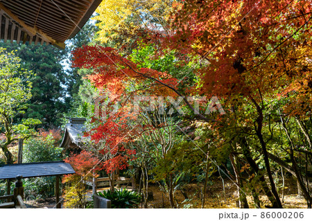 菅生山 大寶寺 菅生山 大寶寺 86000206
