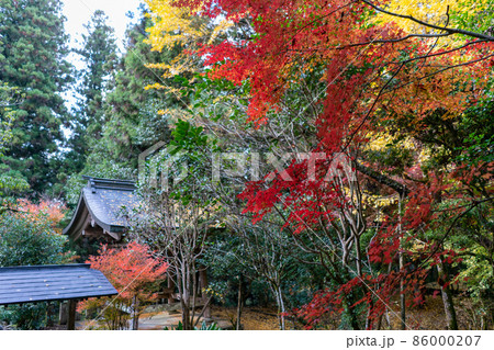 菅生山　大寶寺 86000207