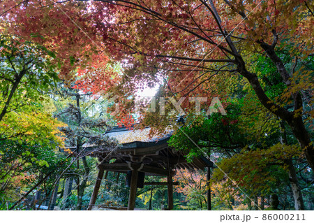 菅生山　大寶寺 86000211