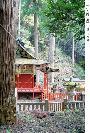 鳳来寺山のきれいな紅葉_鳳来寺山東照宮 鳳来寺山のきれいな紅葉_鳳来寺山東照宮 86000313