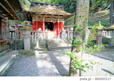 鳳来寺山のきれいな紅葉_鳳来寺山東照宮 86000317