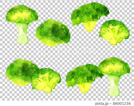 手描き水彩のブロッコリーイラストワンポイントラインセット 86001236