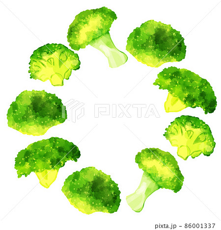 手描き水彩のブロッコリーイラスト正方形フレーム 円のイラスト素材