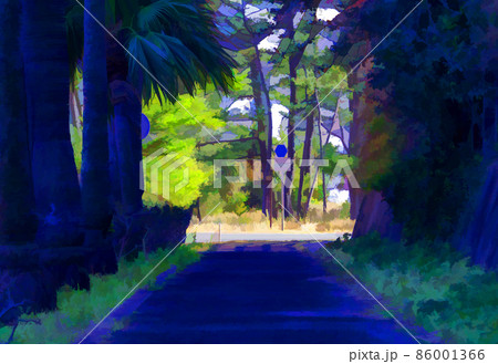 A pedestrian path, lined by palm trees. 86001366